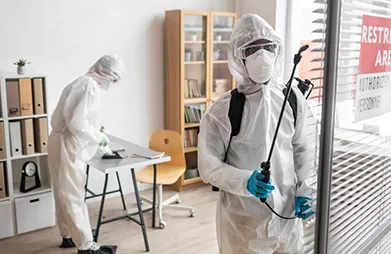 Pest inspection services for Surrey and Burnaby homes